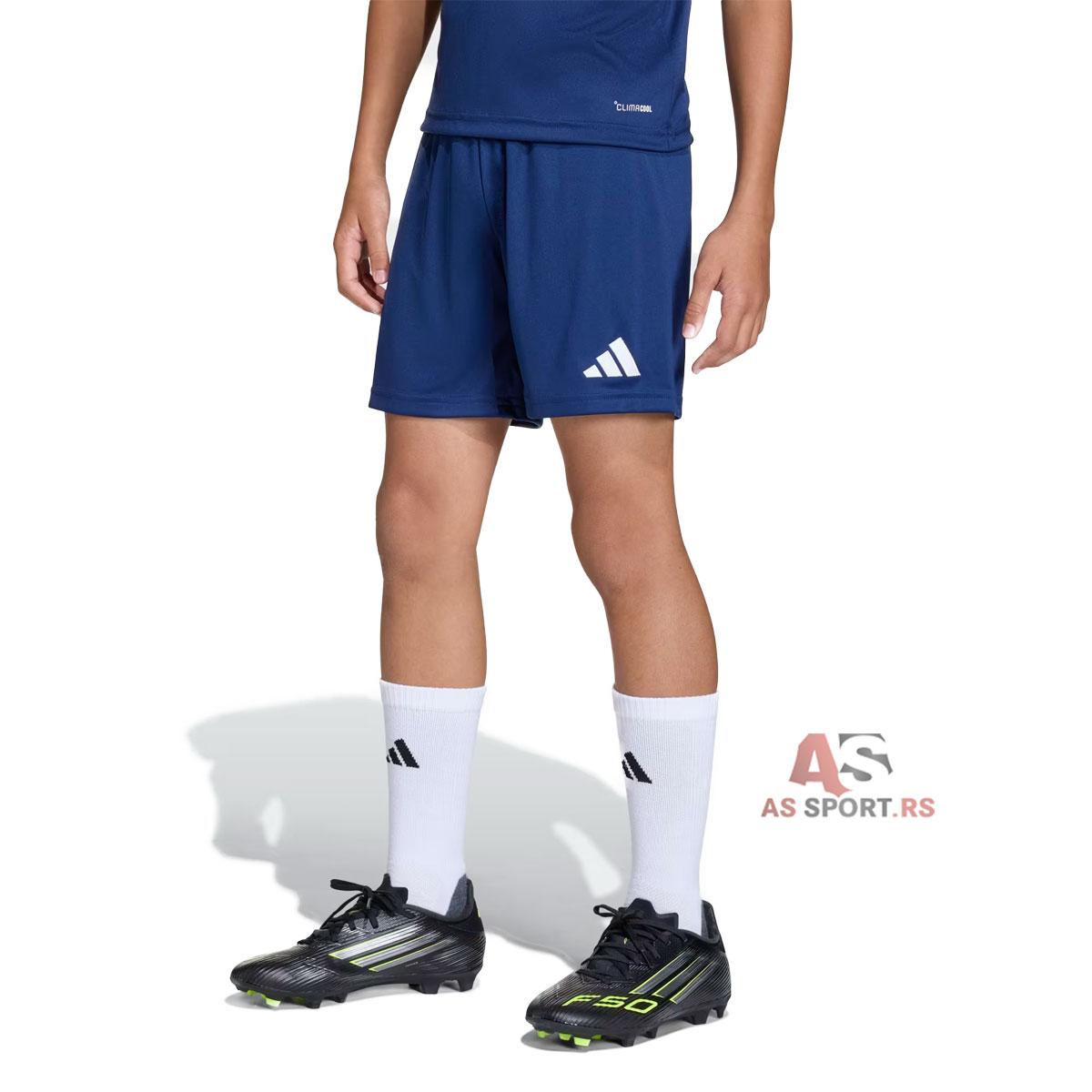 Ent26 Short