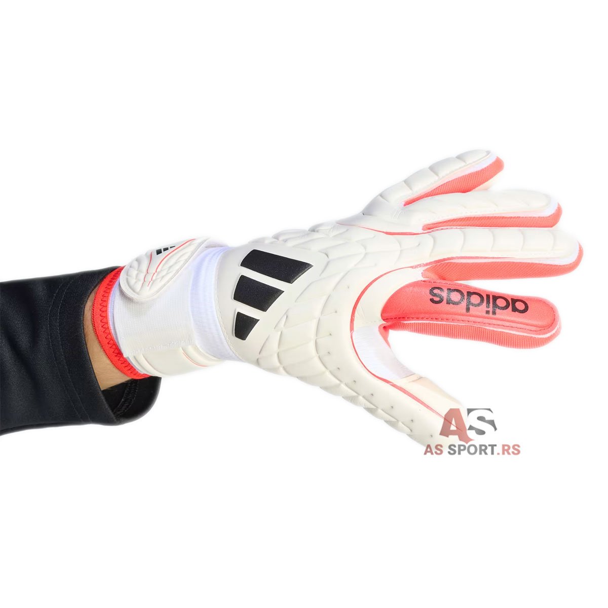 Copa Gl Lge 5 KA7812-3Be5
