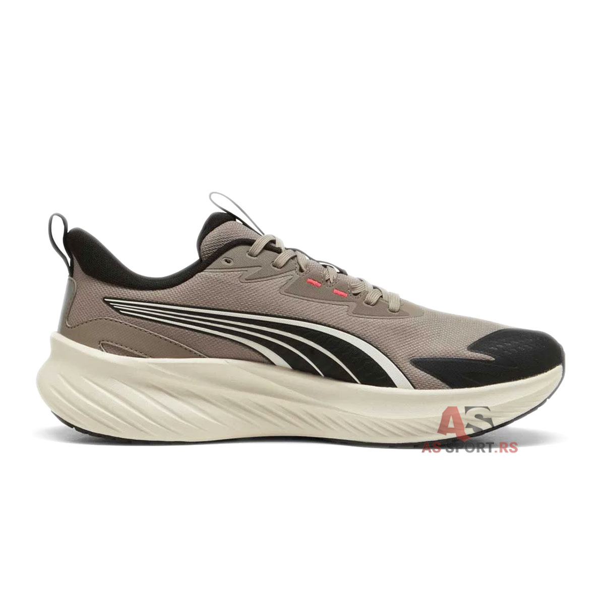 Pounce Lite Ptx 41 313737-02-ImsO
